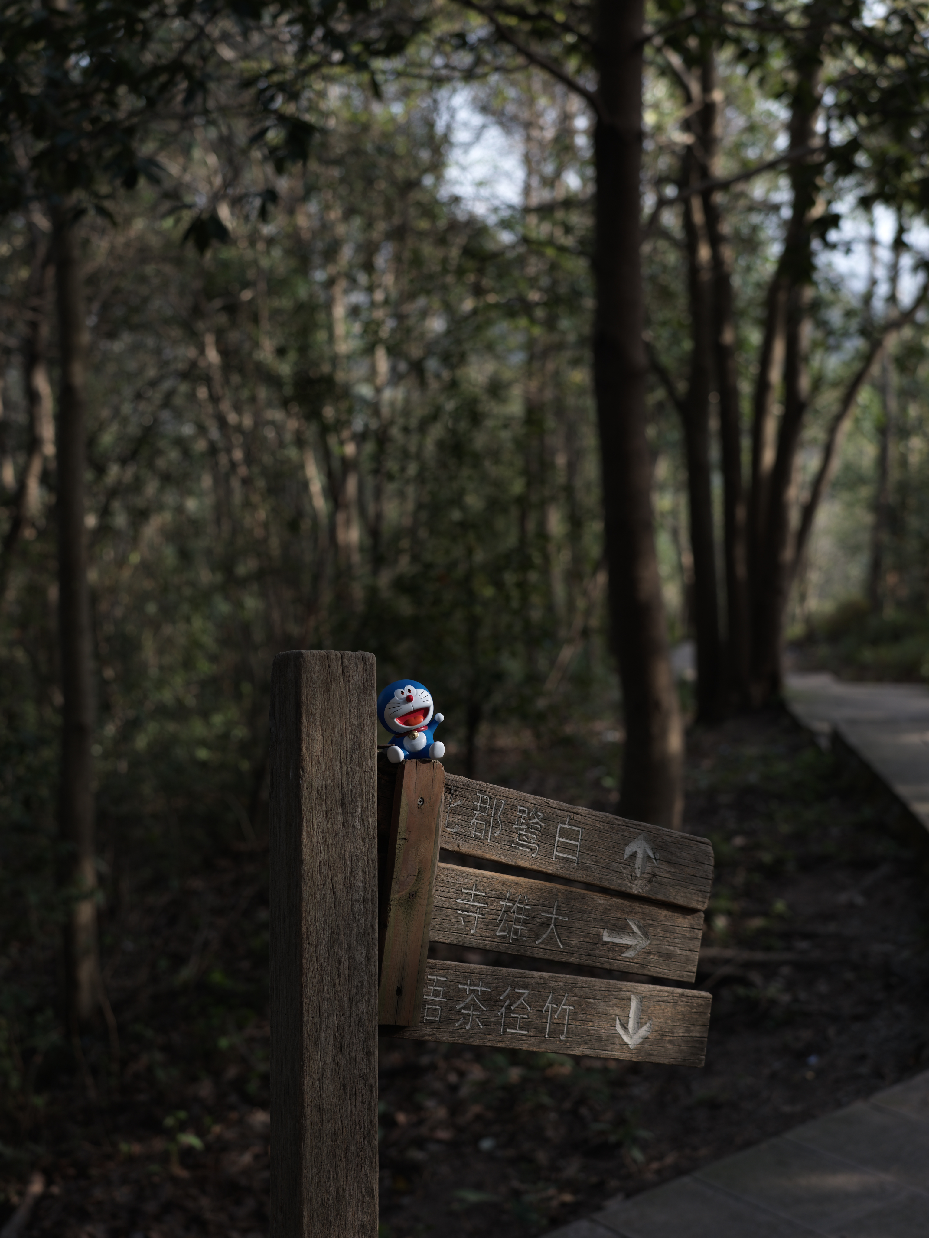 An old sign on Daxiong Mountain