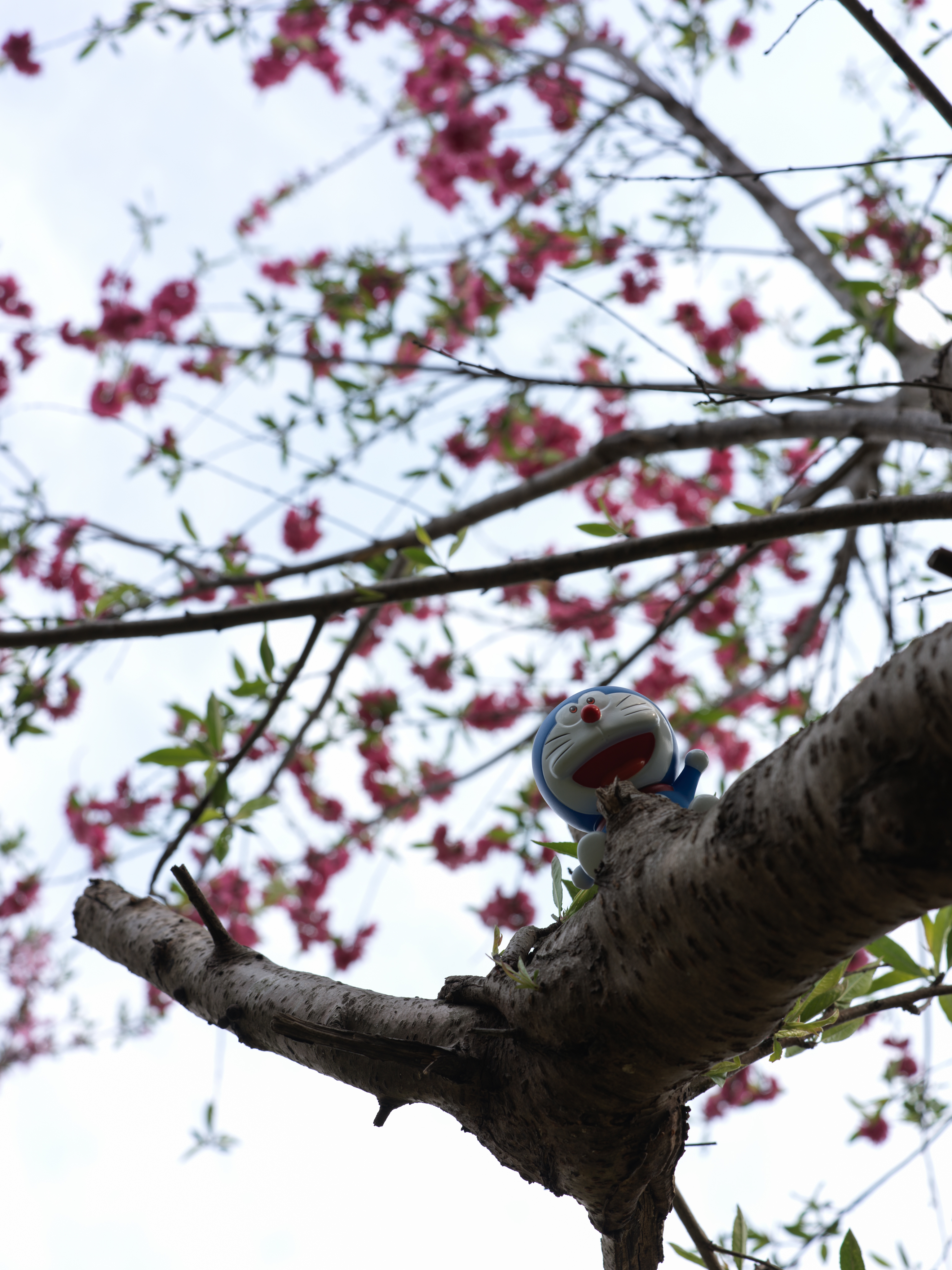 Doraemon in a tree
