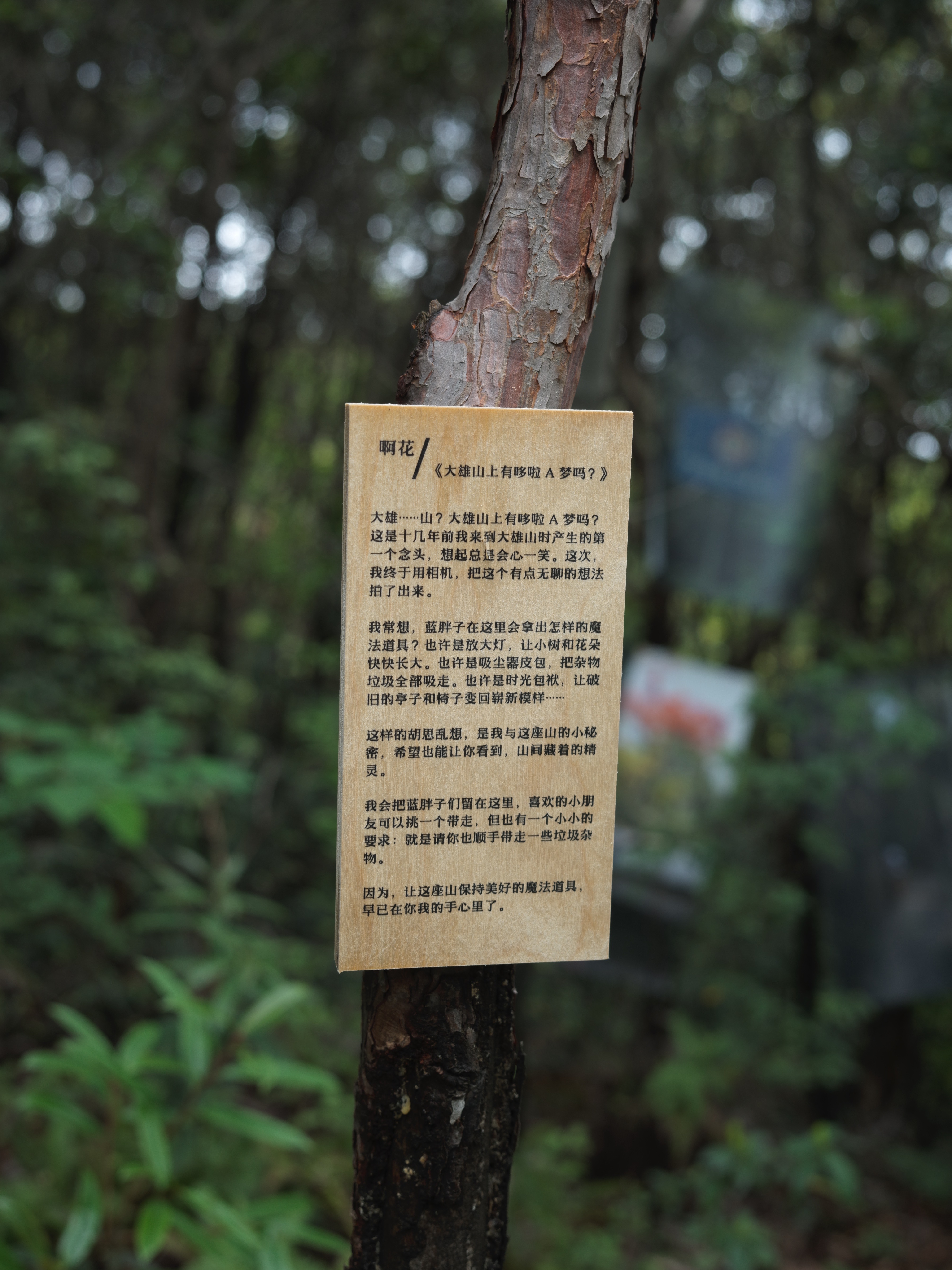 An exhibition label in the woods