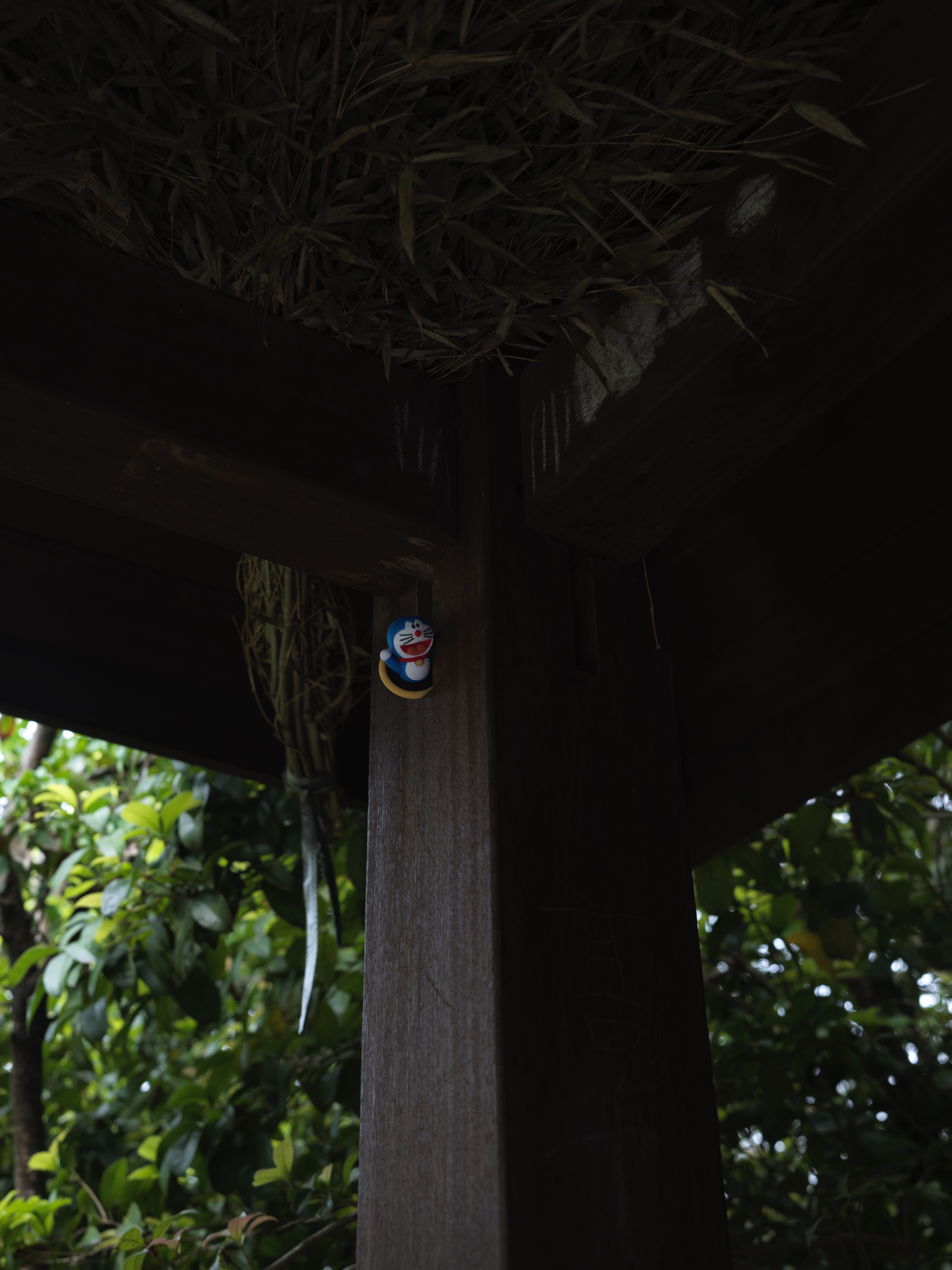 Figures among the photographs in the woods